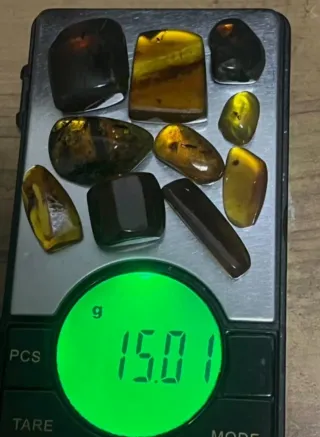 Insectos Fósiles en Ámbar, 10/18/8