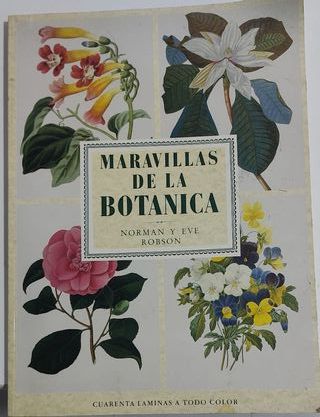 VARIAS REVISTAS DE ARTE