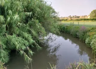Terrenos rústico y huertos en venta.