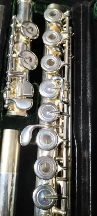 Flauta travesera J.Michael