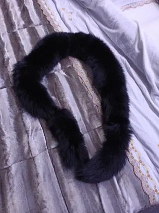 Collo di volpe nera