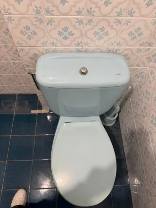 Conjunto Roca: Plato Ducha e Inodoro