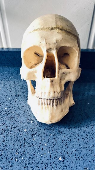 Pieza decorativa calavera