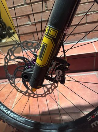 Intense M16 Mullet M