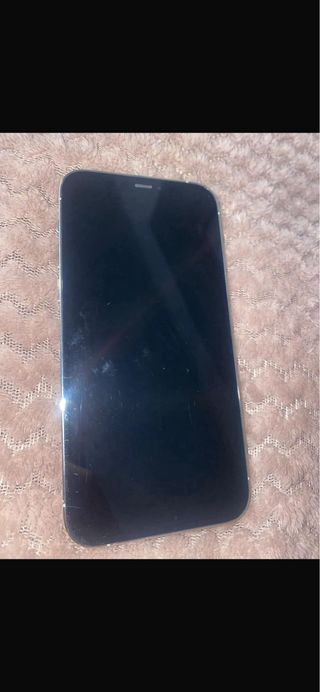 iPhone 12 Pro Argento