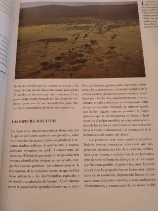 Libro historia universal ilustrada