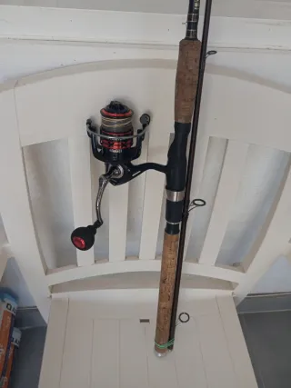 Caña de pescar spinning, Shimano Beast Máster