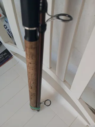 Caña de pescar spinning, Shimano Beast Máster