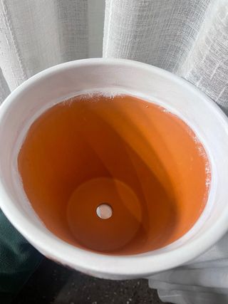 Maceta terracota diseño plumas