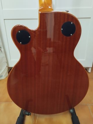 Guitarra Epiphone Wildkat