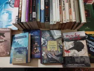 Lote de 45 libros. Grandes Autores.