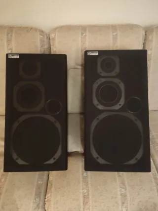 Altavoces negros y plateados