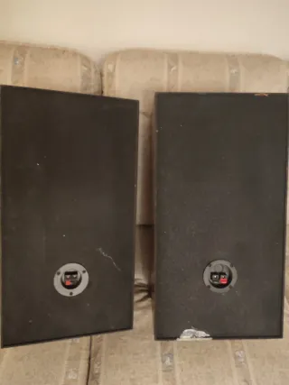 Altavoces negros y plateados