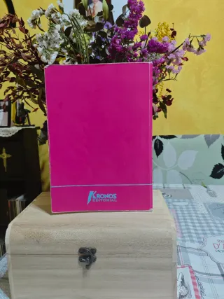 Manual Derecho individual y colectivo del trabajo.