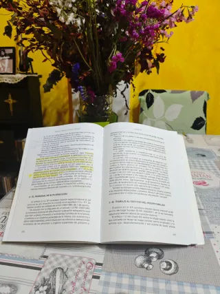 Manual Derecho individual y colectivo del trabajo.