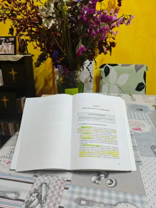 Manual Derecho individual y colectivo del trabajo.