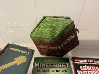 Lote de libros de Minecraft
