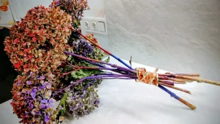 Hortensias secas de colores