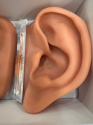 Orejas entrenamiento acupuntura + kit