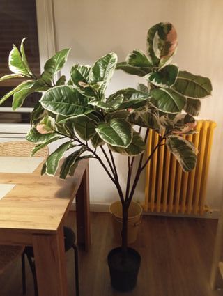 Planta Caucho FEJKA Ikea Artificial. Como nueva.