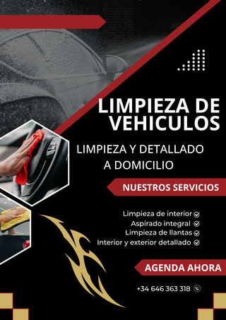 Car Detailing: Limpieza de interior  a domicilio