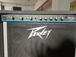 Peavey KB 100 USA 100W Altavoz 15