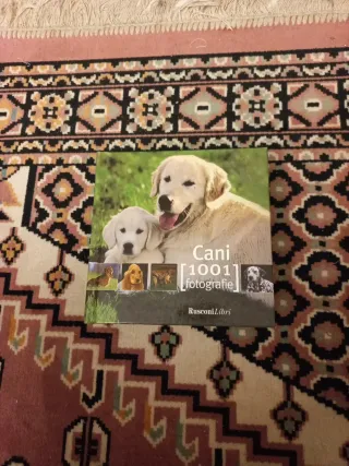 I cani. Ediz. illustrata