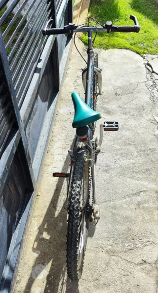 Bicicleta infantil/juvenil hasta 15 años