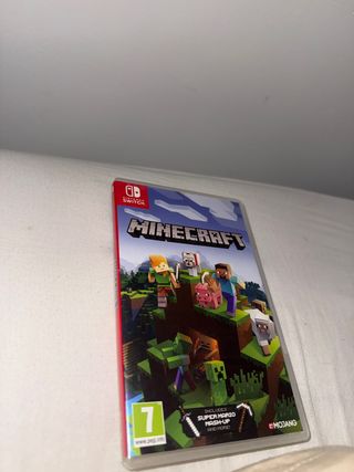 Minecraft Nintendo Switch