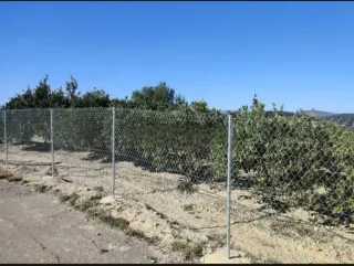 Terreno con naranjos. Con sistema de riego automat