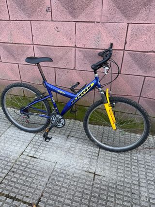 Bicicleta Montaña