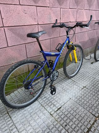 Bicicleta Montaña