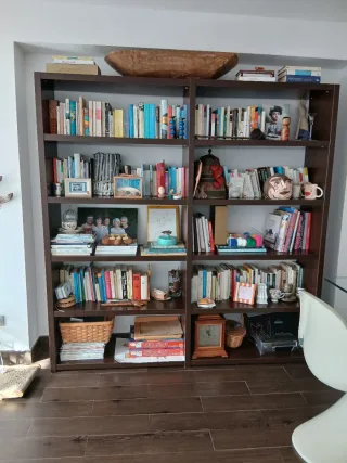 Librería de madera oscura