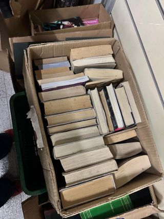Lote de libros ( unos 300 libros )