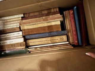 Lote de libros ( unos 300 libros )