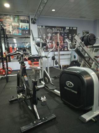 Lote Cardio Profesional: Elíptica y Bicicleta