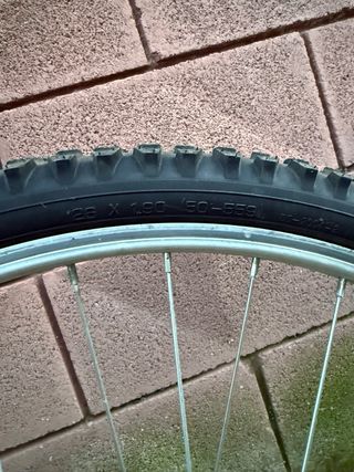 Bicicleta TOP TROTTER