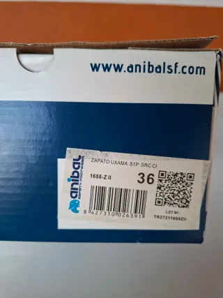 Zapatos de seguridad