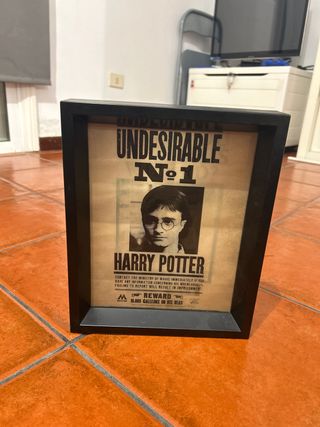 Cuadro Harry Potter Undesirable N°1