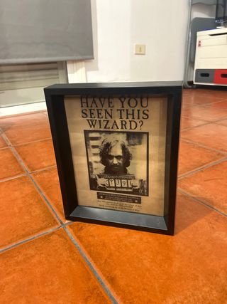 Cuadro Harry Potter Undesirable N°1