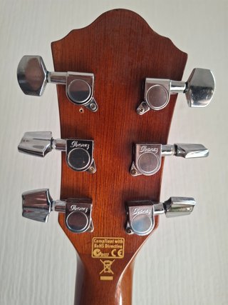 Guitarra Ibanez captacion Fishman Presys c/ fonda