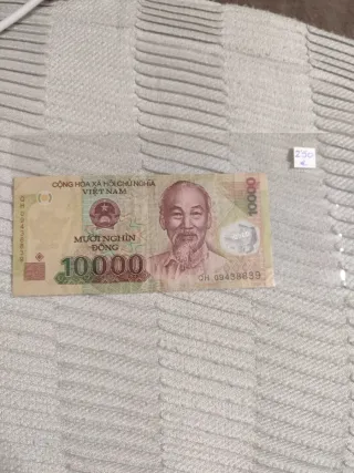 Billete Vietnam 10000 Dong