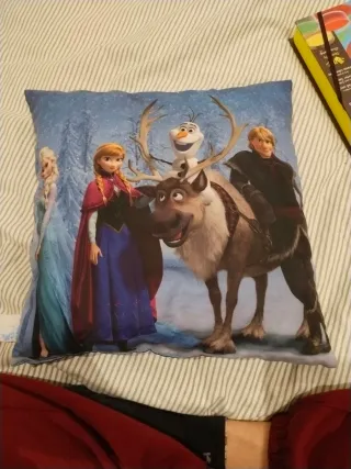 Cojín Frozen