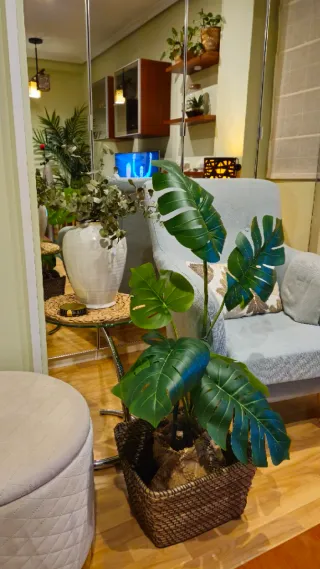 Planta Artificial Monstera + cesta