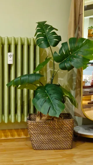 Planta Artificial Monstera + cesta
