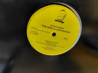 Lote Vinilos House - Techno 00'