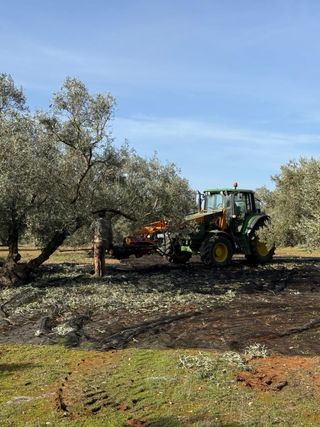 Servicios Agrícolas