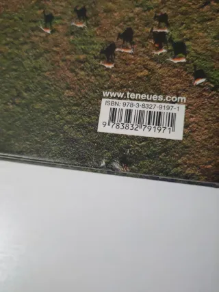 The Essential Africa - Michael Poliza