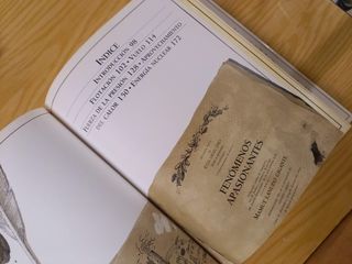 [253] Cómo funcionan las cosas