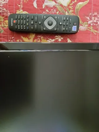 TV Philips 22 con brazo para colgar o pie